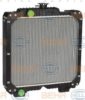 HELLA 8MK 376 792-291 Radiator, engine cooling